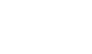 Mosaico Étnico Regional
