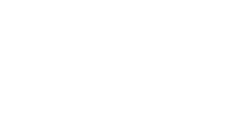 Mosaico Étnico Regional